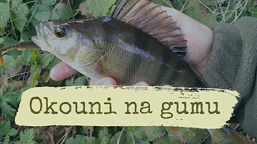 Jak se vařit těstoviny v osolené vodě?