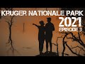 Kruger National Park 2021:Tsendze, Episode 3