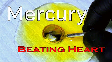 Mercury Beating Heart
