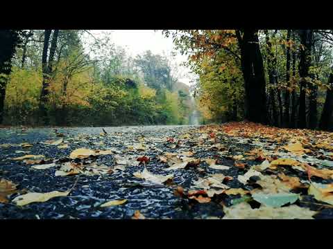 afara e frig (ploua) Romanian song (Slowed+Reverb)