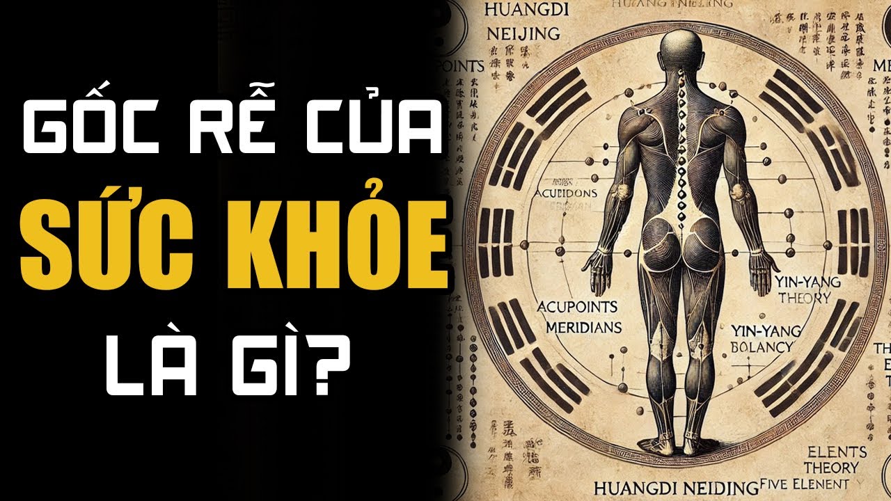 Outline Video GỐC RỄ CỦA SỨC KHỎE LÀ GÌ? CÁCH CHỮA LÀNH CƠ THỂ THUẬN TỰ NHIÊN THEO Y HỌC CỔ TRUYỀN.
