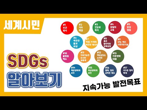 🌏 SDGs (지속가능 발전목표) 17가지 알아보기 (세계시민교육)