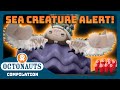 Octonauts Myriad Of Sea Creatures 3 Hours Full Episodes Marathon 