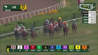 Vidéo de la course PMU PRIX NACIONAL MAYORES