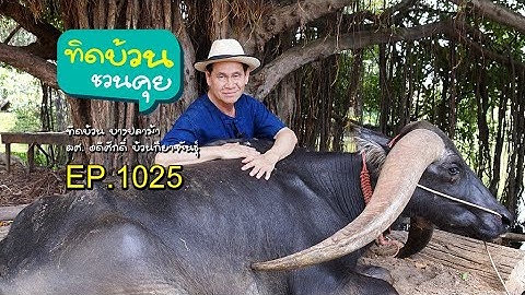 ทิดบ้วนชวนคุย EP1025 ที่สามไร่วางแผนวางผังทำอะไรดี ตอน 1