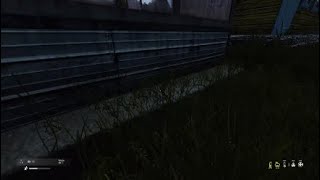 Dayz is tuff