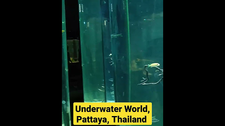 Underwater World Pattaya, Thailand. #pattaya #thailand #bankok #shorts