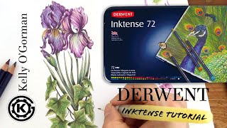 Derwent Inktense Tutorial - Colouring an Iris with Kelly O'Gorman