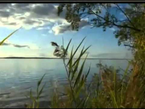 Евгений Чужой Кострома Flv