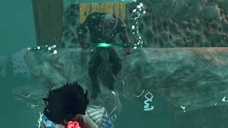 What 14k hours in DBD looks like