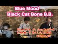 真夏のブルースバンド Blue Mood Black Cat Bone B.B. Jazz Rag Doll B.岡本純一 P. まちこ G. 杉山和喜 2024.6.29