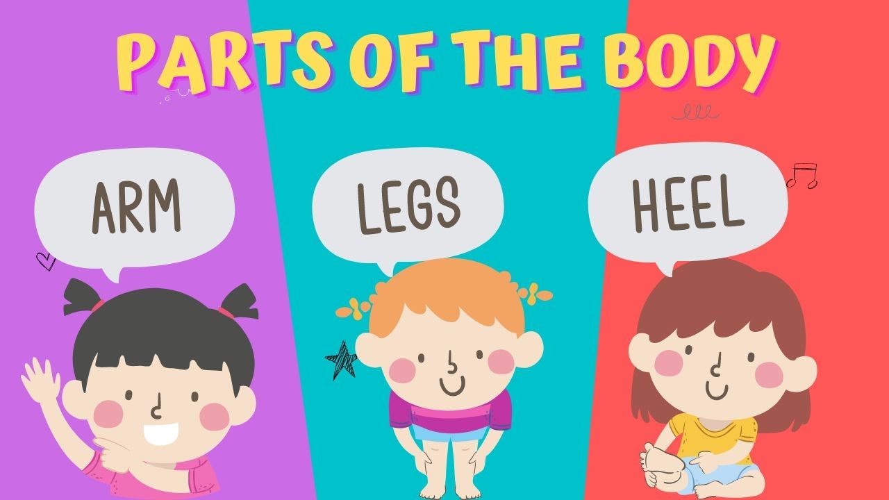 Learn Parts Of The Body Name In English Vocabulary For Kids Smart learn-parts-of-the-body-name-in-english-vocabulary-for-kids-smart