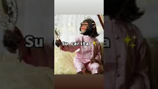 Les Vengo A Presumir A Mi Prima