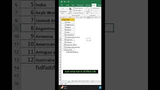 06_Excel wrap text into cell auto