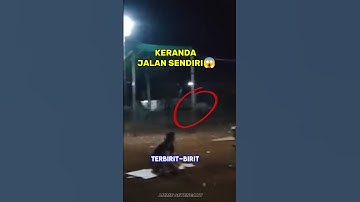 KERANDA JALAN SENDIRI MALAH DITAWA! Aneh Tapi Nyata 🤯🤣 #shorts