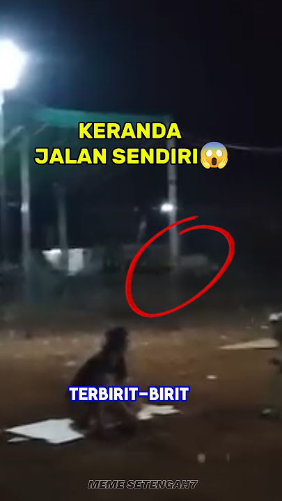 KERANDA JALAN SENDIRI MALAH DITAWA! Aneh Tapi Nyata 🤯🤣 #shorts
