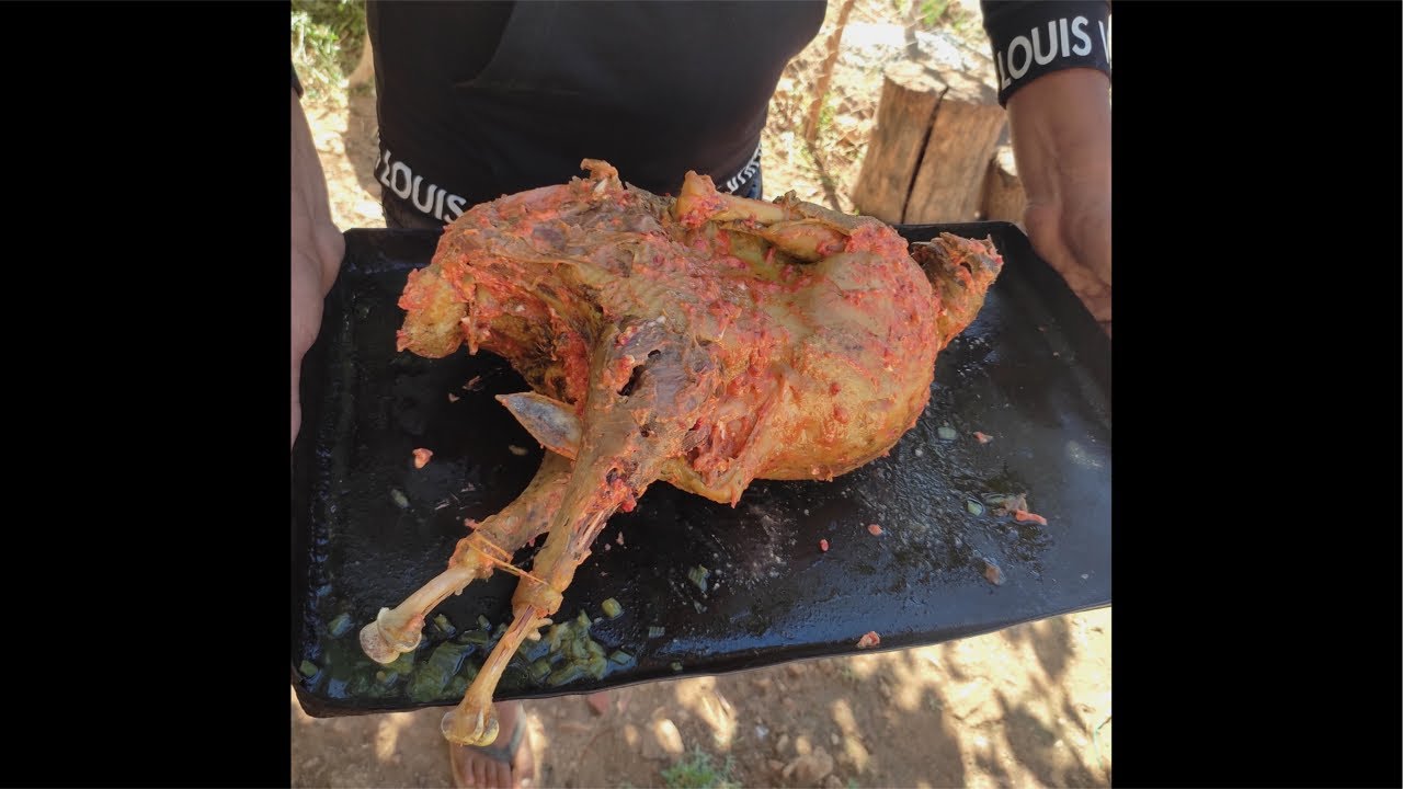 😂😂😂😂😂 الدجاجة  بالبسطيلة 🐔🐔🐔