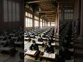 The Han Dynasty: The Golden Age of China