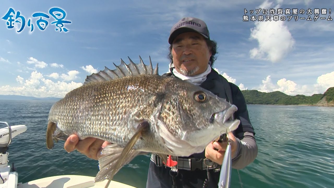 【釣り百景】#450 トップに炸裂真夏の大興奮！熊本県天草のブリームゲーム