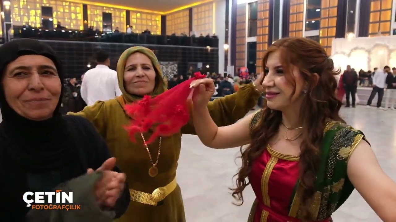 Diyar aydın - Sewe / Live Performance  