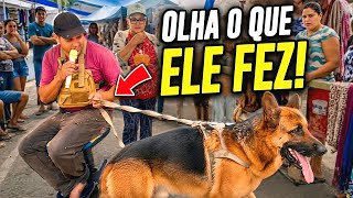A feira quase PAROU por causa do meu Pastor Alemão… 😳