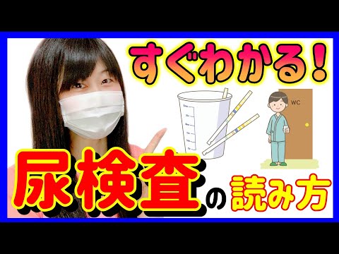 尿検査から何がわかるの？看護師がわかりやすく解説します！