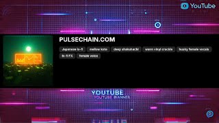 PULSECHAIN.COM