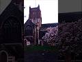 #london #shortvideo #kingston #travel #uk #england #lifeisbutadream #newday #love #swollentree
