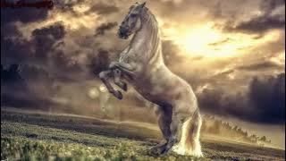 самый красивый нашид!!!слушать всем.