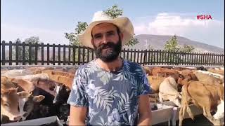 KAHRAMANMARAŞ   Pazarcık’ta bölgenin en büyük hayvan çiftliğini kurdu