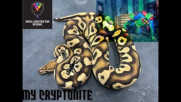 My CRYPTONITE!  RARE Crypton project!