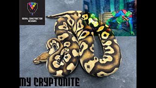 My CRYPTONITE!  RARE Crypton project! Wealth