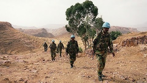 Tigray Turmoil: Ethiopia and Eritrea on the Brink of War