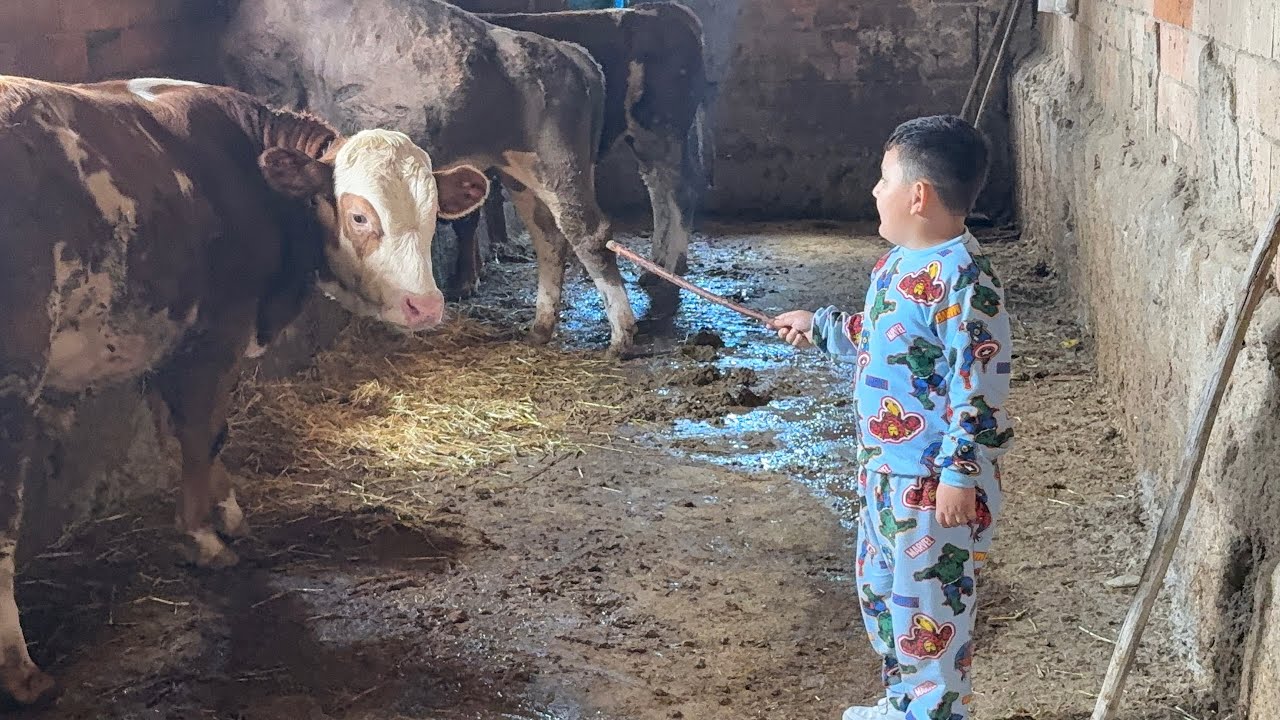 GECELİĞİ İLE DOLAR İLE DANA SATMAYA ÇALIŞTI