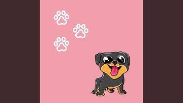 Pulsating Moods for Puppy Moments