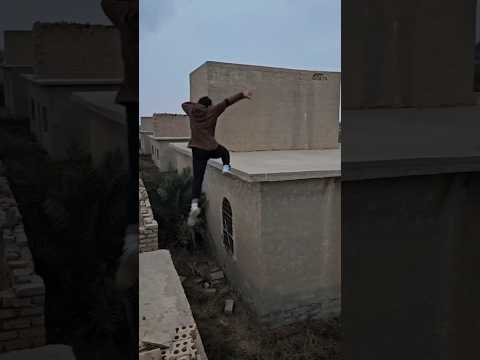 تحداني عليكه الذيب ان اقفز من السطح