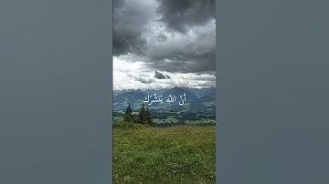 سورة آل عمران-الشيخ علي جابر