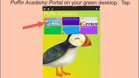 Using Puffin Browser for Flash Media
