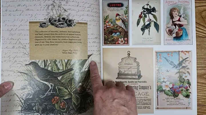 Amazon Ephemera Book Review@Lisa Perez creations