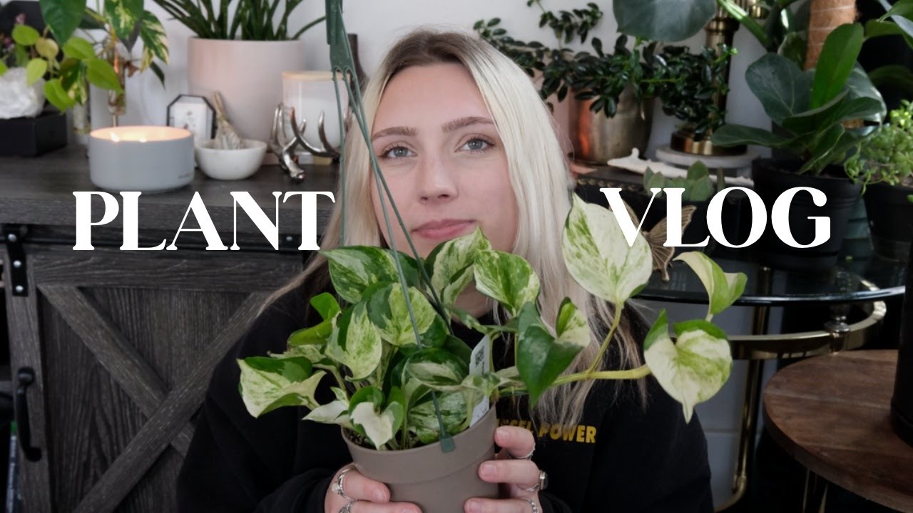plant girl weekend 🌿  |  tropical plant show, garden center, and plant haul!