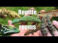 REPTILE ROOMS TOUR 2020