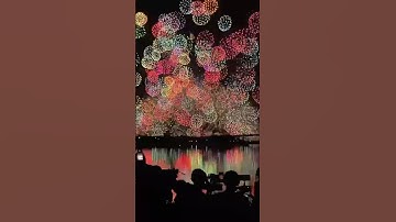 Best fireworks Pháo hoa vuurwerk #fireworks #shorts #pyro #fuegosartificiales #salute #feuerwerk