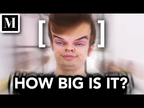 we-calculated-the-exact-size-of-jacksfilms-forehead