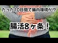 【腸活】10日間で腸内環境を改善し生まれ変わらせる腸活8か条！【腸内フローラ徹底改善】