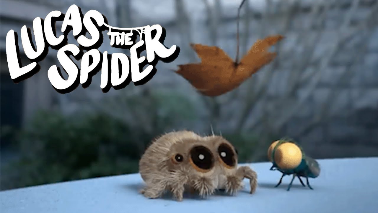 Lucas the Spider's Play Time in Fall 🍂 + More Kids Cartoons - YouTube