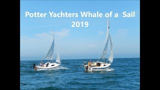 Potter Yachter&#39;s Whale  Sail 2019 ..  Moss Landing CA