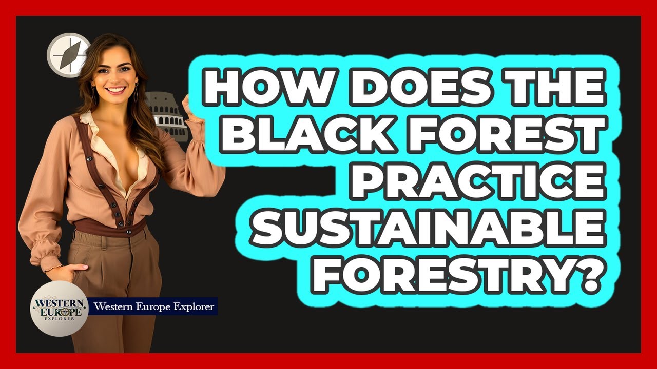 How Does The Black Forest Practice Sustainable Forestry? - Western Europe Explorer