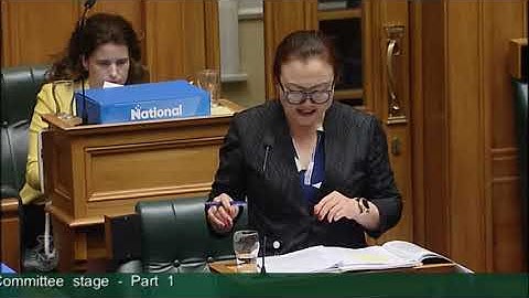 Telecommunications (New Regulatory Framework) Amendment Bill - Committee Stage - Part 1 - Video 4