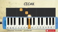 not pianika cicak - tutorial belajar pianika lagu anak - not angka cicak di dinding  - Durasi: 1:13. 