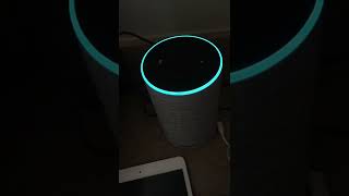 Alexa Quickly Connects With Freddie Mercury Himself